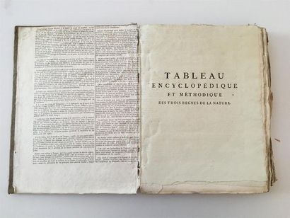 null ANIMAUX - BOTANIQUE

COQUILLAGES

Jean -Guillaume Bruguière (1750-1799)

Tableau...