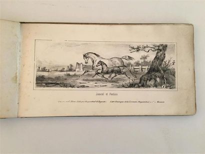 null Victor ADAM (1801 - 1866)

Etude d'Animaux dans le paysage, composées par Victor...
