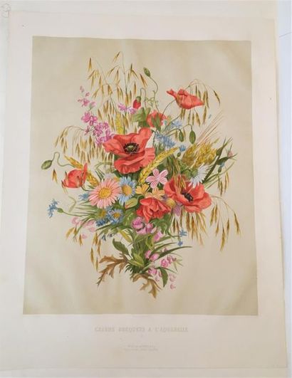 null Pauline GIRARDIN (1818 -?) d'après

Grands Bouquets à l'aquarelle, l. 2, 3,...