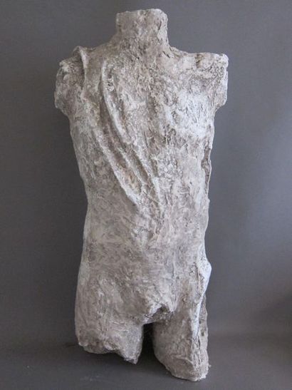 null Ecole XXème siècle

Torse d'homme en plâtre texturé

Haut : 85 cm