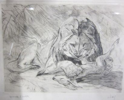 null Odette DENIS (XX)

-"Tigre"

Cuivre gravé, 36 x 49 cm

-Tigre dévorant un faon"

Lithographie,...