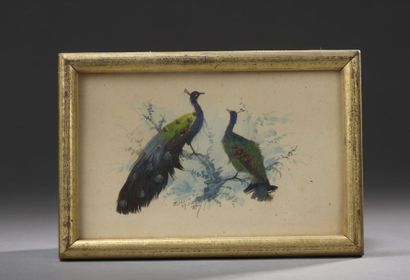 null École MEXICAINE du XXe siècle

Couples d'oiseaux

Plumes d'oiseau sur fond d'aquarelle,...