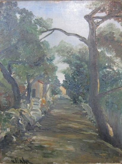 null David HAHN (XXth - XXIst CENTURY)

Way in the South

Oil on panel, signed lower...