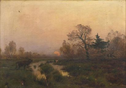 null Eugène MORAND (Saint Petersburg 1855 - Paris 1930)

Deer braying at sunrise

On...