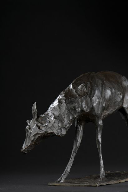 null Rembrandt BUGATTI (1884-1916)


Young Deer Scratching its Neck, circa 1906


Black...