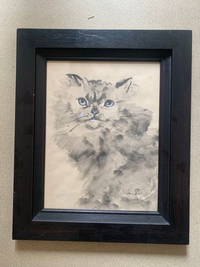  Leonor FINI (1907-1996) 
The Cat 
Ink wash on paper, signed lower right. 
42 x 30...