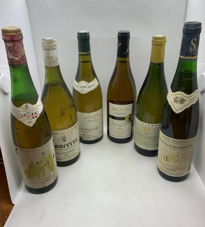 null 6 bottles including 1 SAINT-JOSEPH 1999 from Cuilleron, 1 TOKAJI Dry Mandolas...