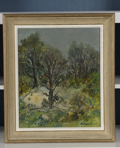 null Isaac ANTCHER	

(Peresecina 1899 -1992 Paris)

Les arbres

Huile sur toile,...