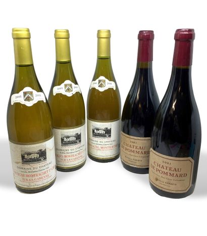  5 bouteilles : 
- 3 du Domaine du Château Charles BLONDEAU-DANNE PÈRE, dont 2 PULIGNY-MONTRACHET...