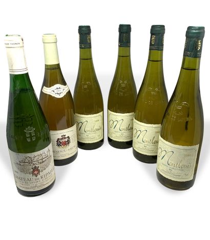 null 12 bottles : 

- 2 CHABLIS 1er Cru Montmains 2004 from J. d'Issoncourt Lorraine

-...