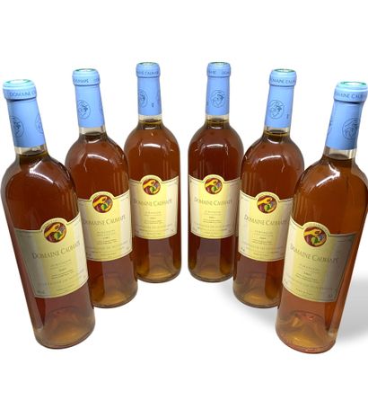 12 bouteilles du Domaine CAUHAPE : 
- 6 JURANCON...