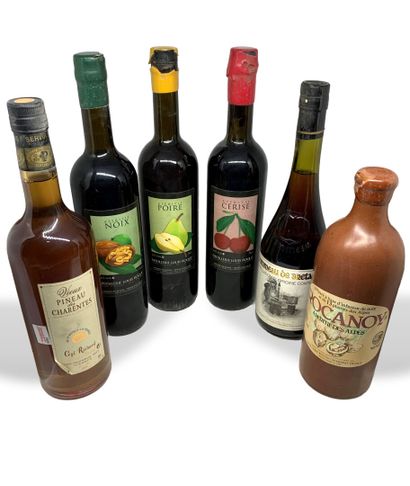 null 12 bottles of various alcohols including 1 NOILLY PRAT, 1 Vieux PINEAU DES CHARENTES...