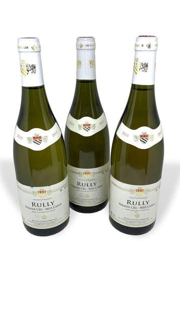 null 12 bottles : 

- 1 PULIGNY-MONTRACHET 2001 J. D'Issoncourt, dirty label

- 1...