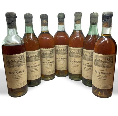 null 7 bouteilles de CRU DE PEYRAGUEY Sauternes 1959, René Larbre Négociant à Bordeaux,...