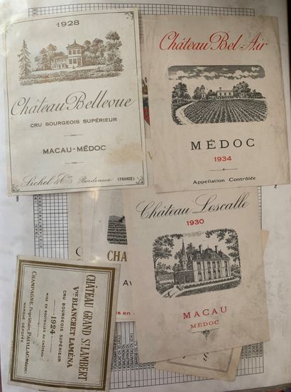 null 2 albums d'environ 400/600 étiquettes de vin de Bordeaux, Entre-deux-Mers, Ste...