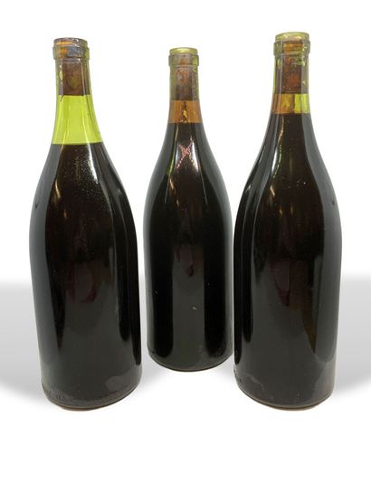 null 9 bottles and 3 magnums, supposedly ANJOU 2000, 1 magnum with leaky cork