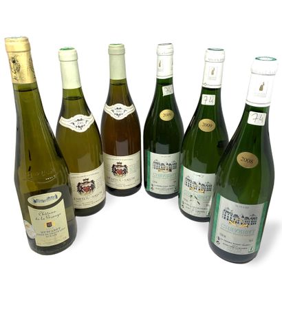 null 12 bottles : 

- 3 CHEVERNY du Vignoble Tevenot, 2 from 2009, 1 from 2008, damaged...