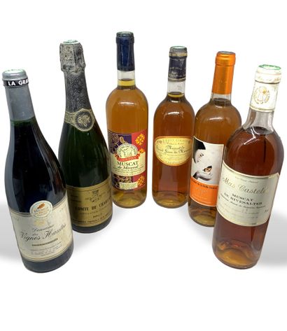 null 12 bouteilles : 

- 6 COTEAUX DU LANGUEDOC Picpoul de Pinet, dont 3 de 2005...
