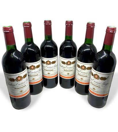 6 bouteilles de Château CROIZET-BAGES, Grand...