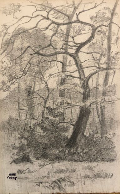 D'après Camille COROT (1796-1875) 
Forêt...