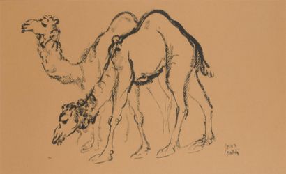 null Reuven RUBIN (1893-1974)

Two dromedaries

Indian ink on paper, signed lower...