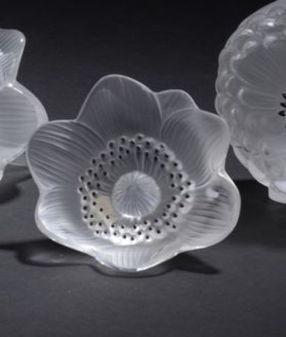 null LALIQUE CRYSTAL

"Open Anemone" (model created in 1931).

Proof in pressed white...