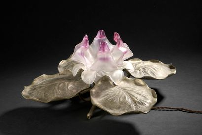 FRENCH WORK

Water lily lamp in patinated...