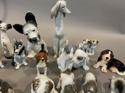 null Collections of English porcelain dogs from Copenhagen and various.