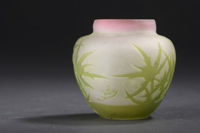 null 
Dans le goût de GALLE

Vase miniature ovoïde en verre multicouche blanc, rose...
