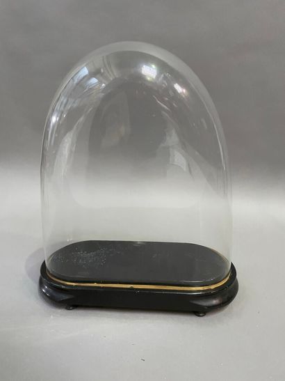 null Globe en verre sur socle en bois noirci.

42 x 33 x 16 cm