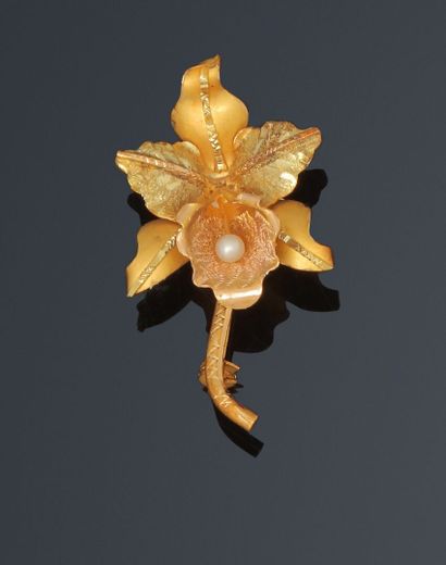 Orchid brooch in 14K yellow gold with a cultured...