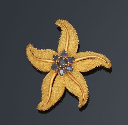 null Brooch starfish in yellow gold partly amati, 

decorated in the center with...