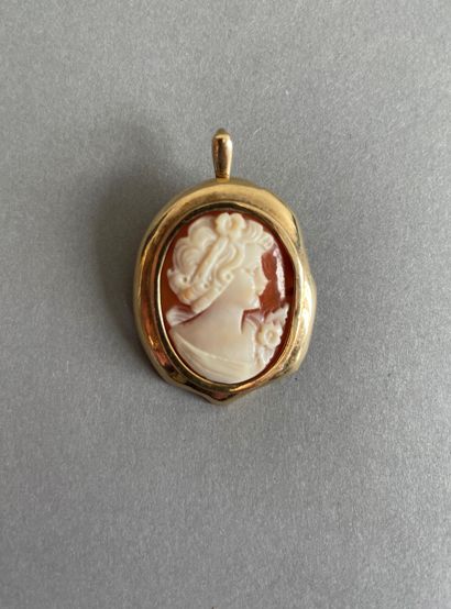 null Pendant cameo shell on gilded metal.

Accidents.