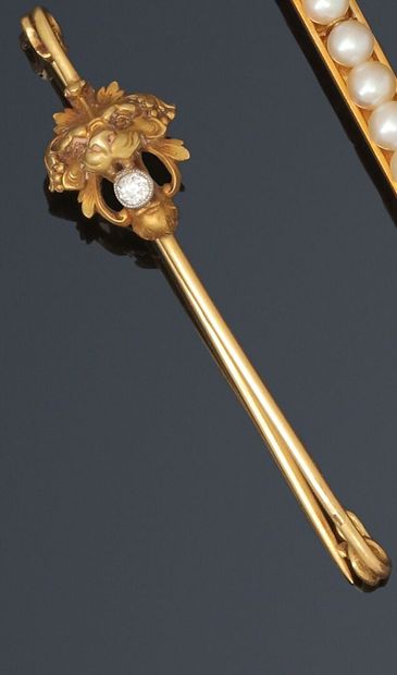 null Nurse's pin decorated with a lion's head in yellow gold holding a brilliant...