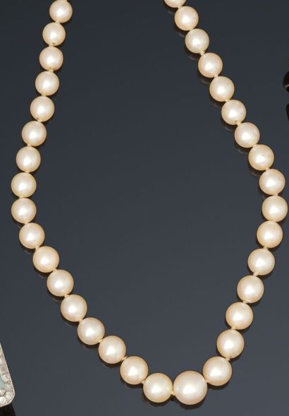 Necklace of 68 cultured pearls in light fall,...