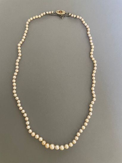 null Necklace of cultured pearls and imitation pearls. Oval clasp in white gold....
