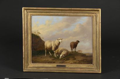 null Belgian school of the middle of the XIXth century

Sheep 

Oil on panel signed...