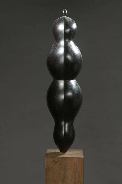 null Axel CASSEL

(Axel Limmeroth dit, 1955-2015)

Totem double

Sculpture à deux...