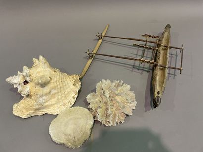 null Lot of shell and model of pirogue in painted wood