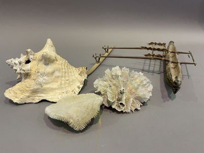 Lot of shell and model of pirogue in painted...