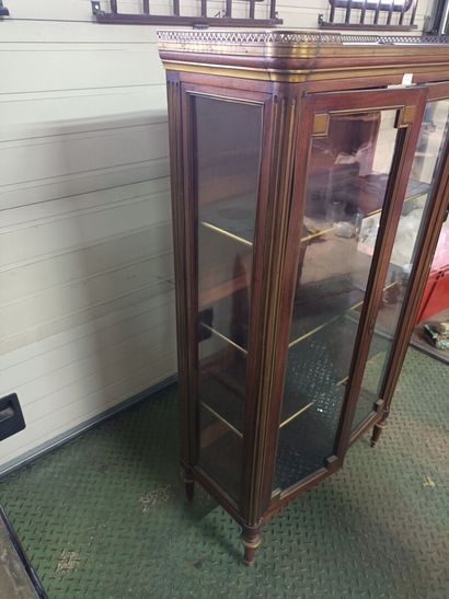 null 
Mahogany veneer display case with two brass molded doors, glass sides, toupie...
