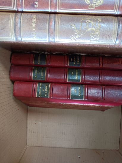 null Strong lot of bound books mainly from the XVIIIth and XIXth century.