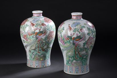 
CHINE - XXe siècle




Paire de vases meiping...