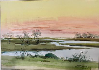 null Henri DAVY (1913-1988)

Strong lot of 50 watercolors on the theme of landscapes.

Various...