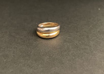 Set of two rings, one in white gold the other...