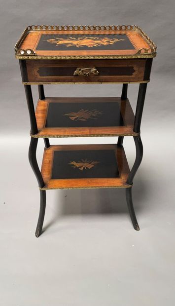 Table of living room with three trays. Inlaid...