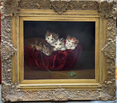 null T. VAN CLEEF (XXth century)

Basket of kittens 

Oil on canvas signed lower...