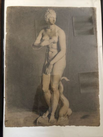 null ANONYMOUS 

Study after the Medici Venus, end of XVIIIth century 

Charcoal...