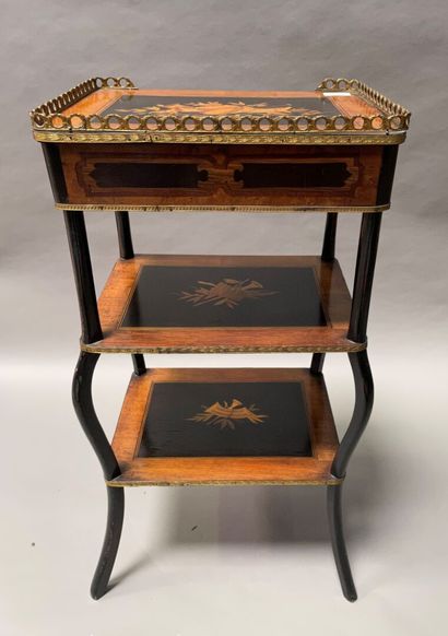 null Table of living room with three trays. Inlaid rosewood veneer of trophies of...