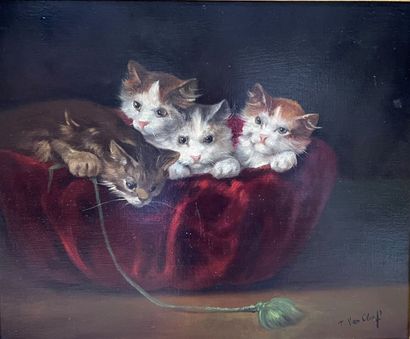 T. VAN CLEEF (XXth century)

Basket of kittens...